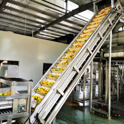 Factory Hot Selling Industrial Mango Juice/Pulp/Pure Production Line